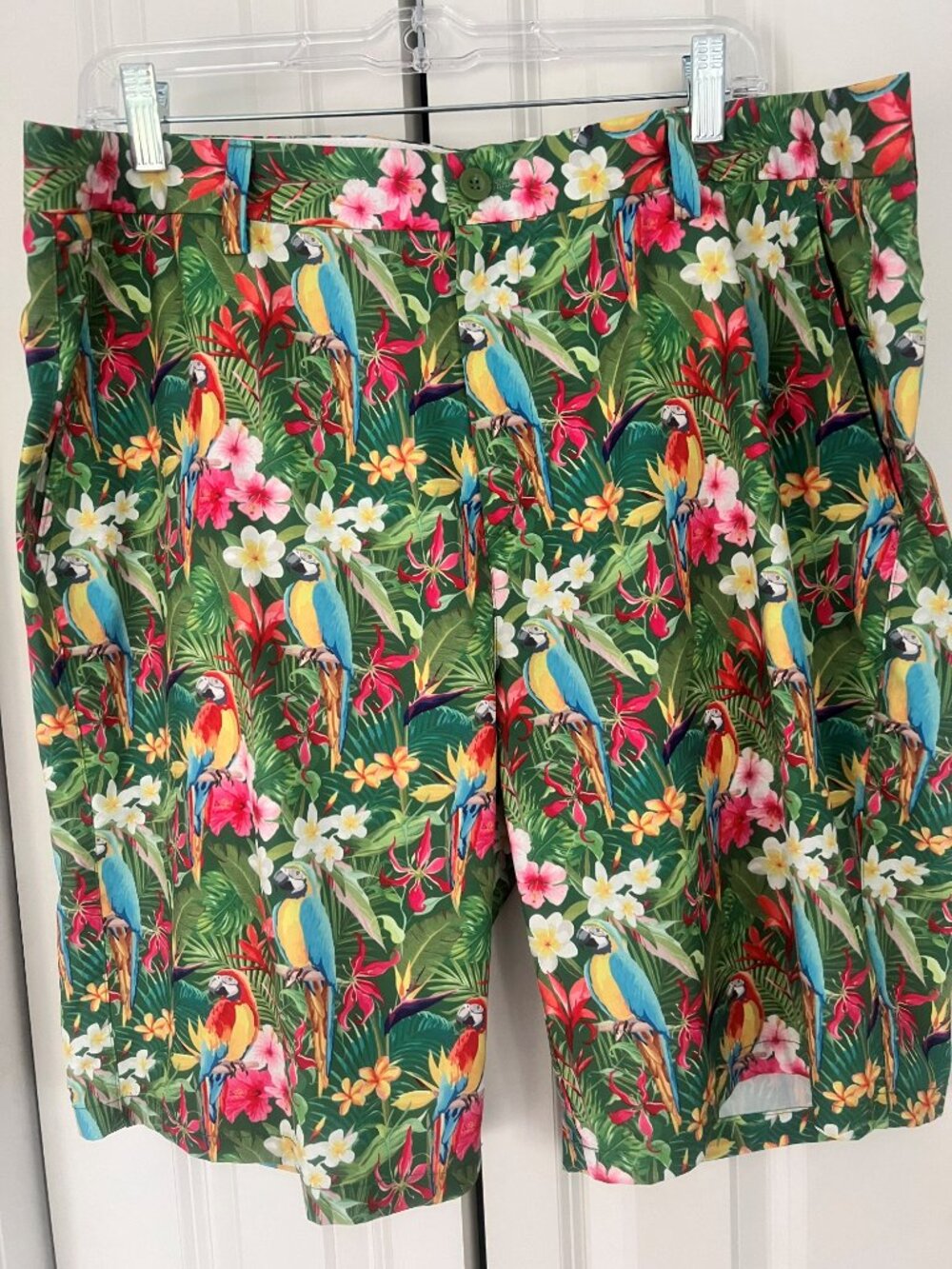 Hreski Parrot Shorts - Size 38